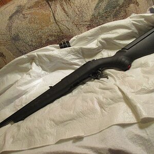 IMG_1560_zpstn7iqwwz.jpg