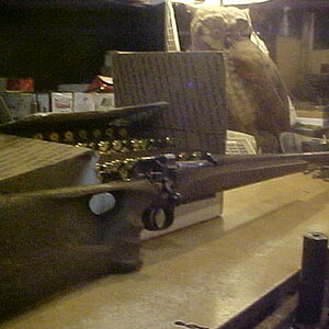 testgun.jpg