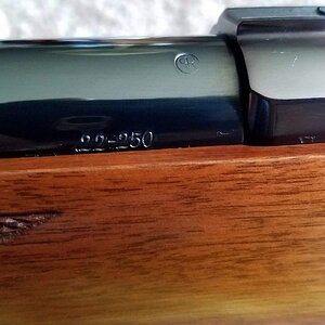 20170608_134145.jpg