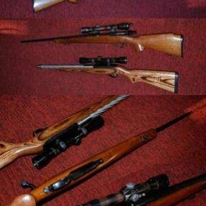 herters1022small.jpg