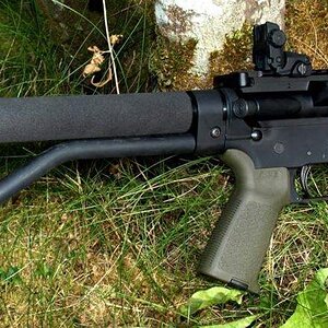 DDAR-5.jpg