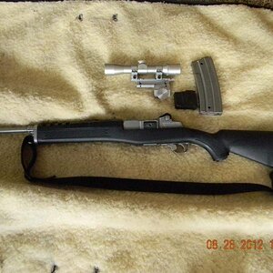Mini 14 ss.jpg