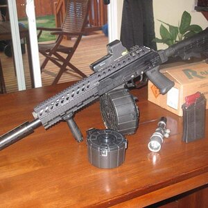 saiga 1.jpg