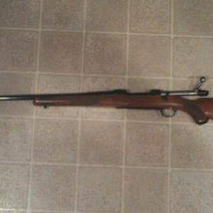7mag.jpg