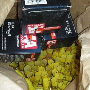 DSCN1034.JPG