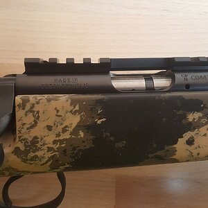 r64Imkd.jpg