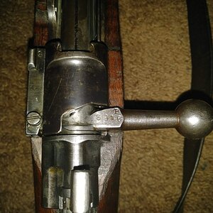 20170824_141317.jpg