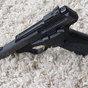 Browning Buckmark 007.JPG