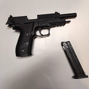 SIG 4.jpg