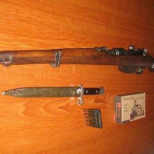 steyr_02.jpg