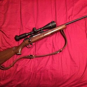 m98-1.jpg