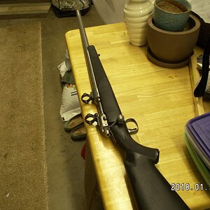 PICT0911.JPG