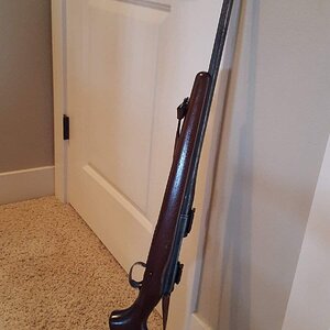 20171112_132754.jpg