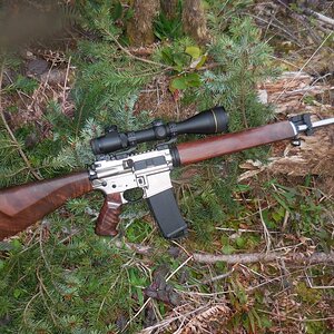 AR15A4 Smith & Wesson right side.JPG