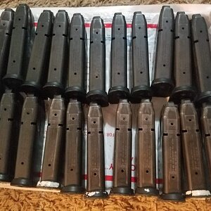 20180331_105312.jpg