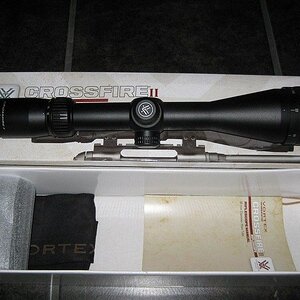5tOW8L.jpg