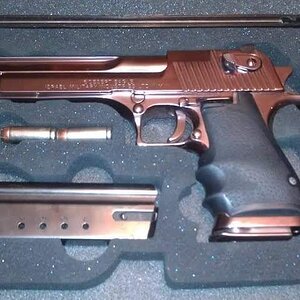 deagle4.jpg