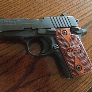 sig2.jpg