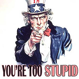 Youre-Too-Stupid-To-Own-A-Gun.jpg