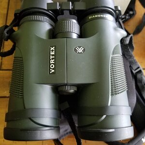 20180413_143117.jpg