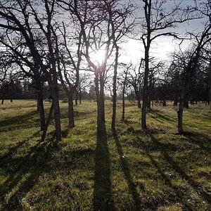 20180415_162558.jpg