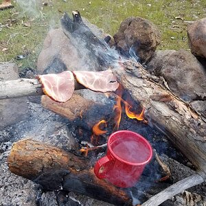 20180415_091231.jpg