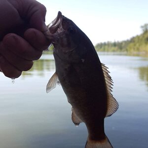 20180425_130231.jpg
