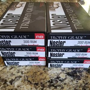 nosler ammo.jpg
