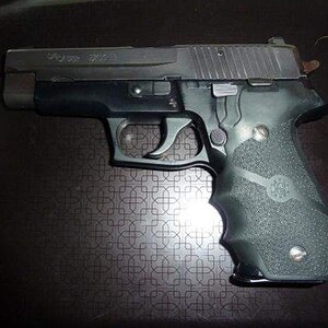 sigp2262.jpg