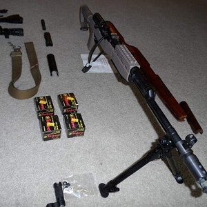 SKS2.jpg