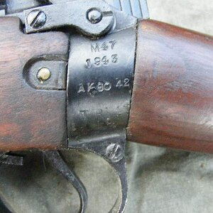 markings.JPG