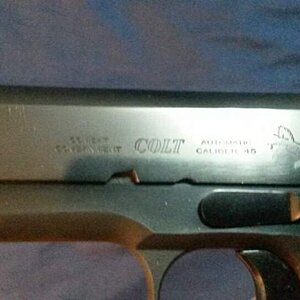 Colt CG2.jpg