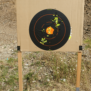 9-5 Target.png
