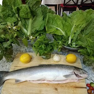 20180920_163329.jpg
