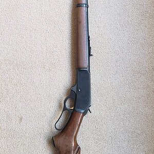 20180927_081817.jpg