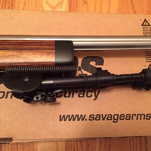 rifle3.jpg