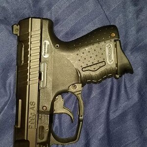 20181004_070704.jpg