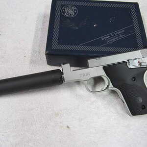 s&w 2213 001.JPG
