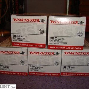 867010_01_500_rounds_new_winchester_380__640.jpg