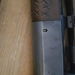 20181201_144233.jpg