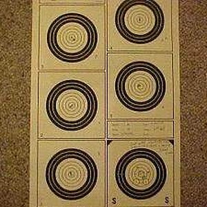 100-6x target.jpg
