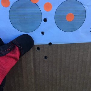 72F3311F-7367-4C38-8B36-14712E17E8EA.jpeg