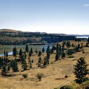 rock-lake-whitman-c-web1.jpg