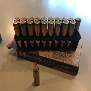 ammo3.jpg