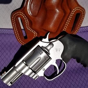 Cobra outdoors.jpg