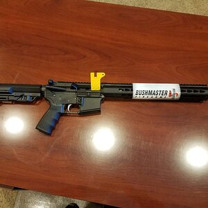 bushmaster minimalist pic 3.jpg