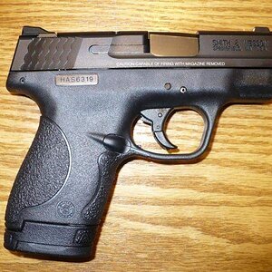 shield sig 2245 039.jpg