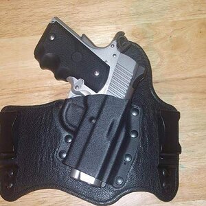 Gun in King Tuk.jpg