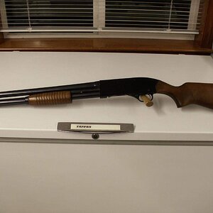 guns 038.jpg