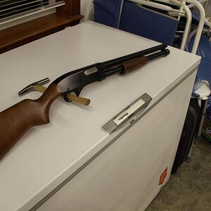 guns 041.jpg